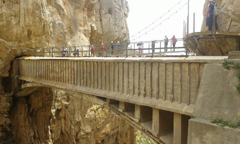 Jornada de Clausura del curso #BirdingM�laga en el Valle del Guadalhorce